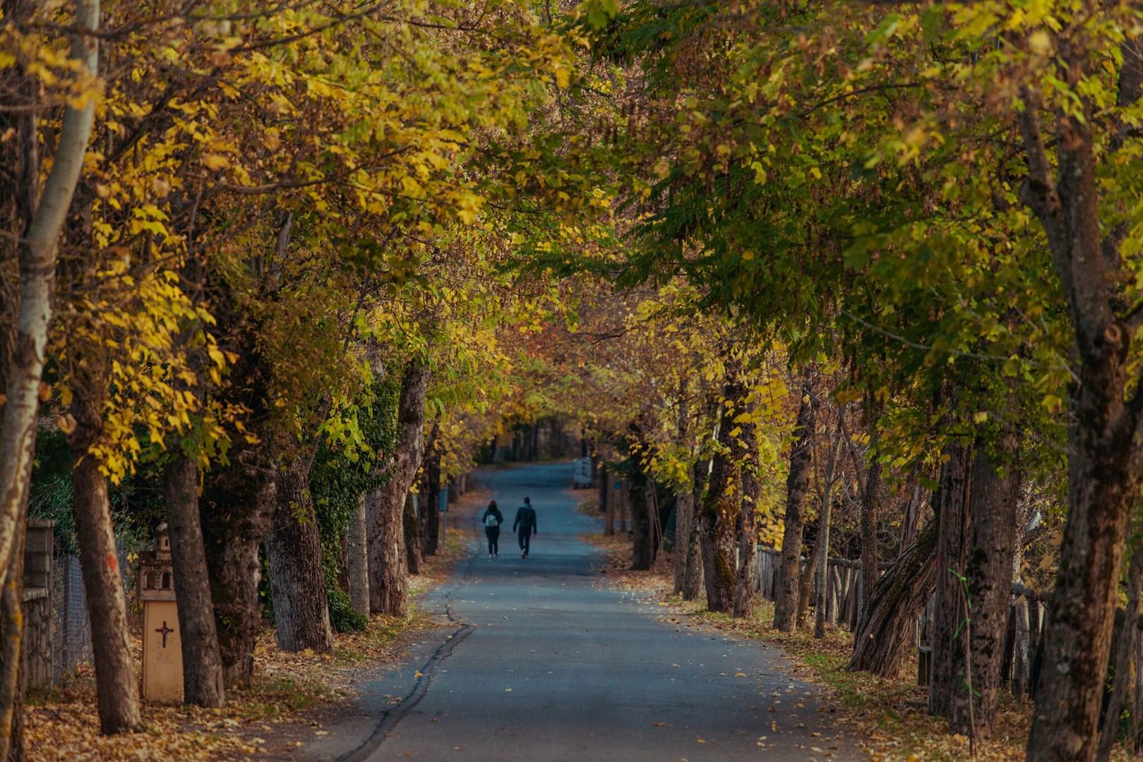 7ο Peloponnese Tourism Academy